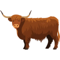 COLÁGENO BOVINO