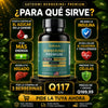 Berberina+ Premium 1000mg | -Azucar, Energía y Metabolismo En Equilibrio
